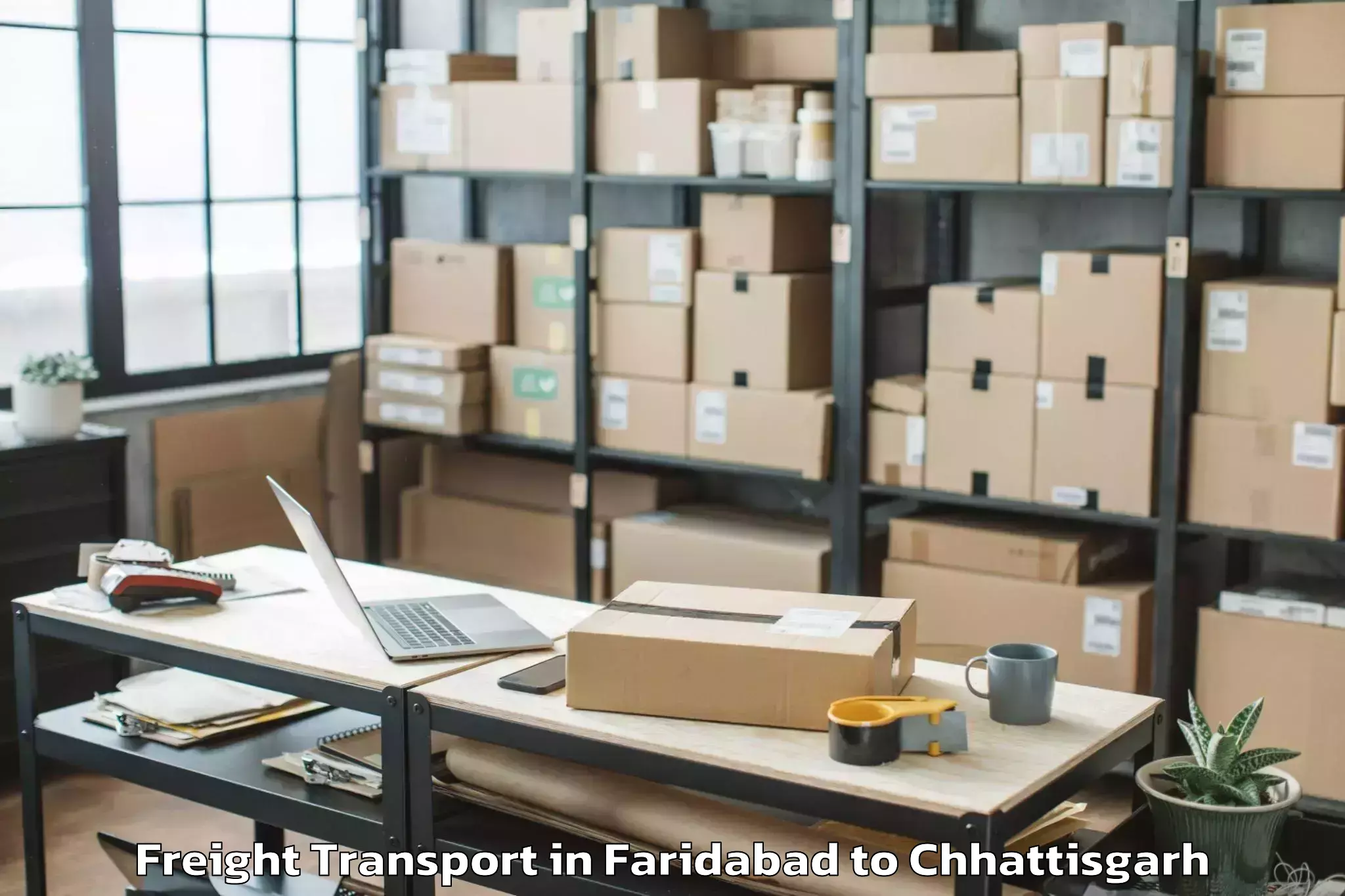 Book Faridabad to Kharora Freight Transport Online